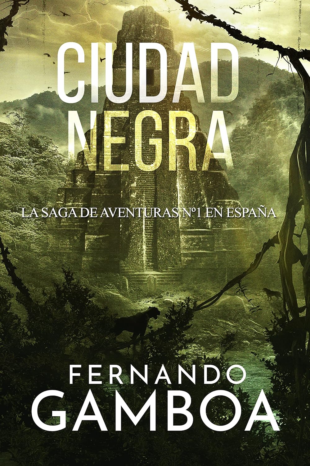 CIUDAD NEGRA